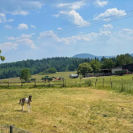Eifel Apartman *