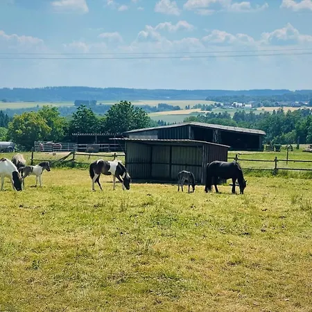 Eifel Apartmán Hümmel